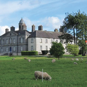 WILSON'S HOSPITAL SCHOOL